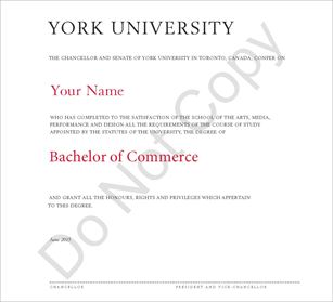 Picture for category Bachelor of Commerce